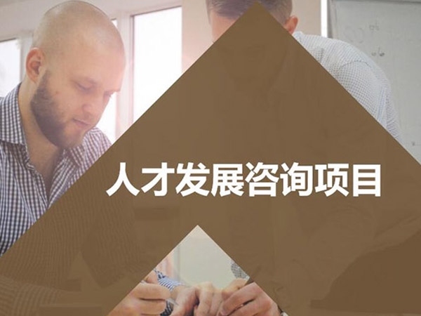 人才發(fā)展咨詢項(xiàng)目